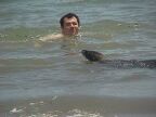 438 Walter Swimming With Sea Lion.JPG (44 KB)